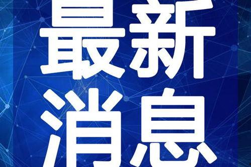 相声爆料足球视频大全最新,相声爆料足球视频大全,欢乐瞬间尽收眼底